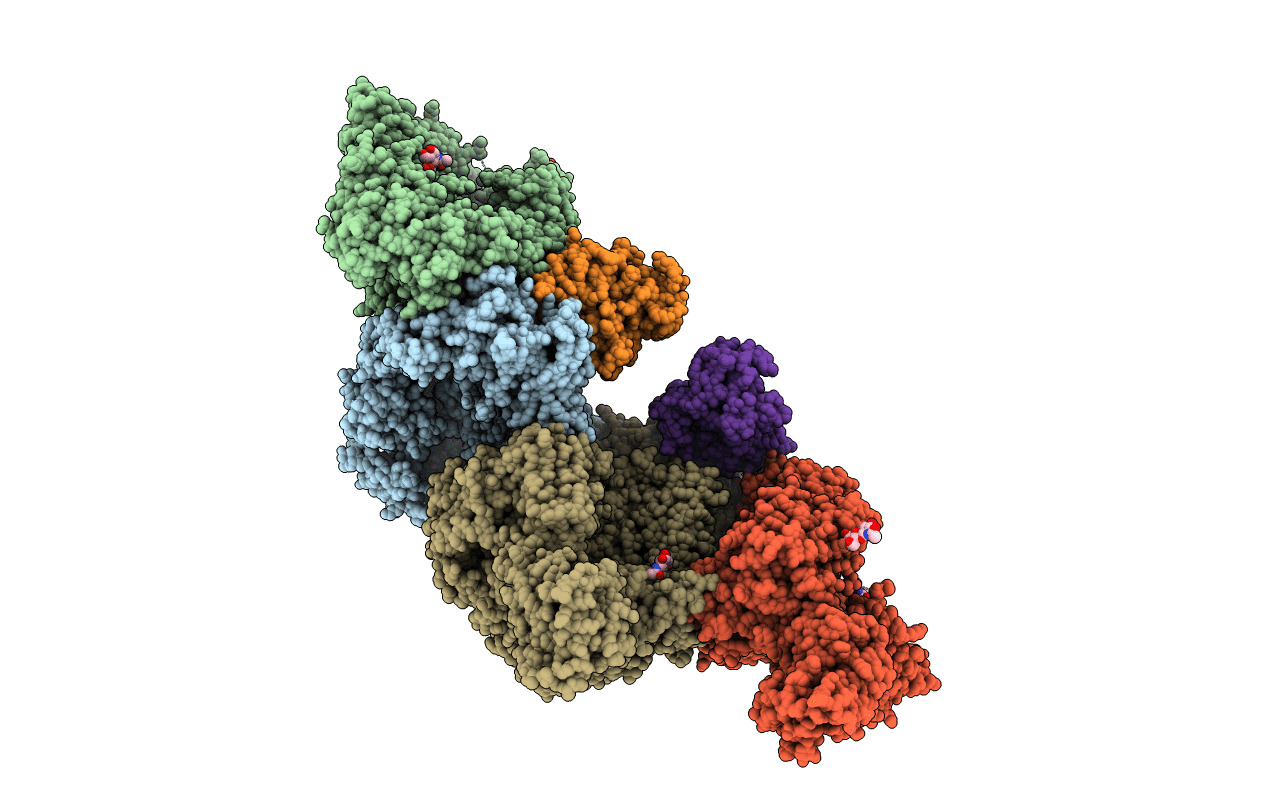 3PRX image