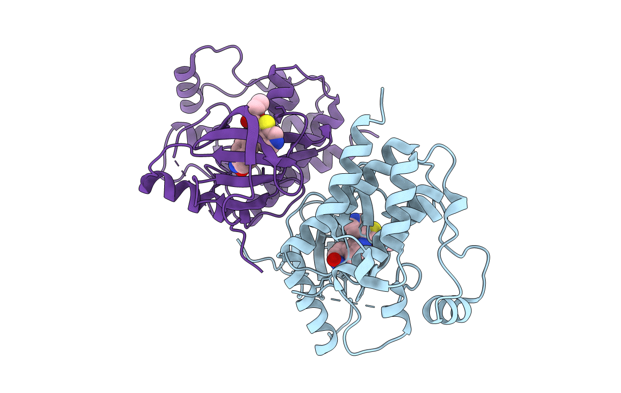 3PSB image