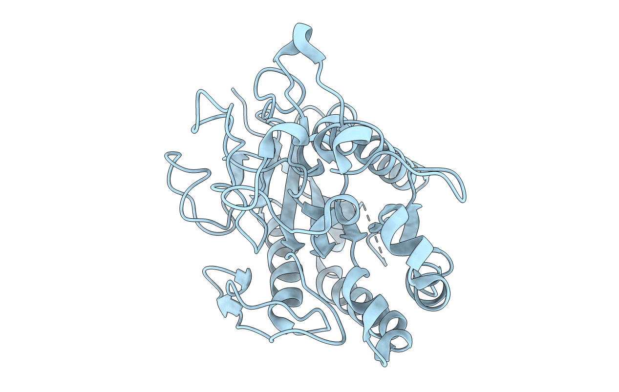 3PT5 image