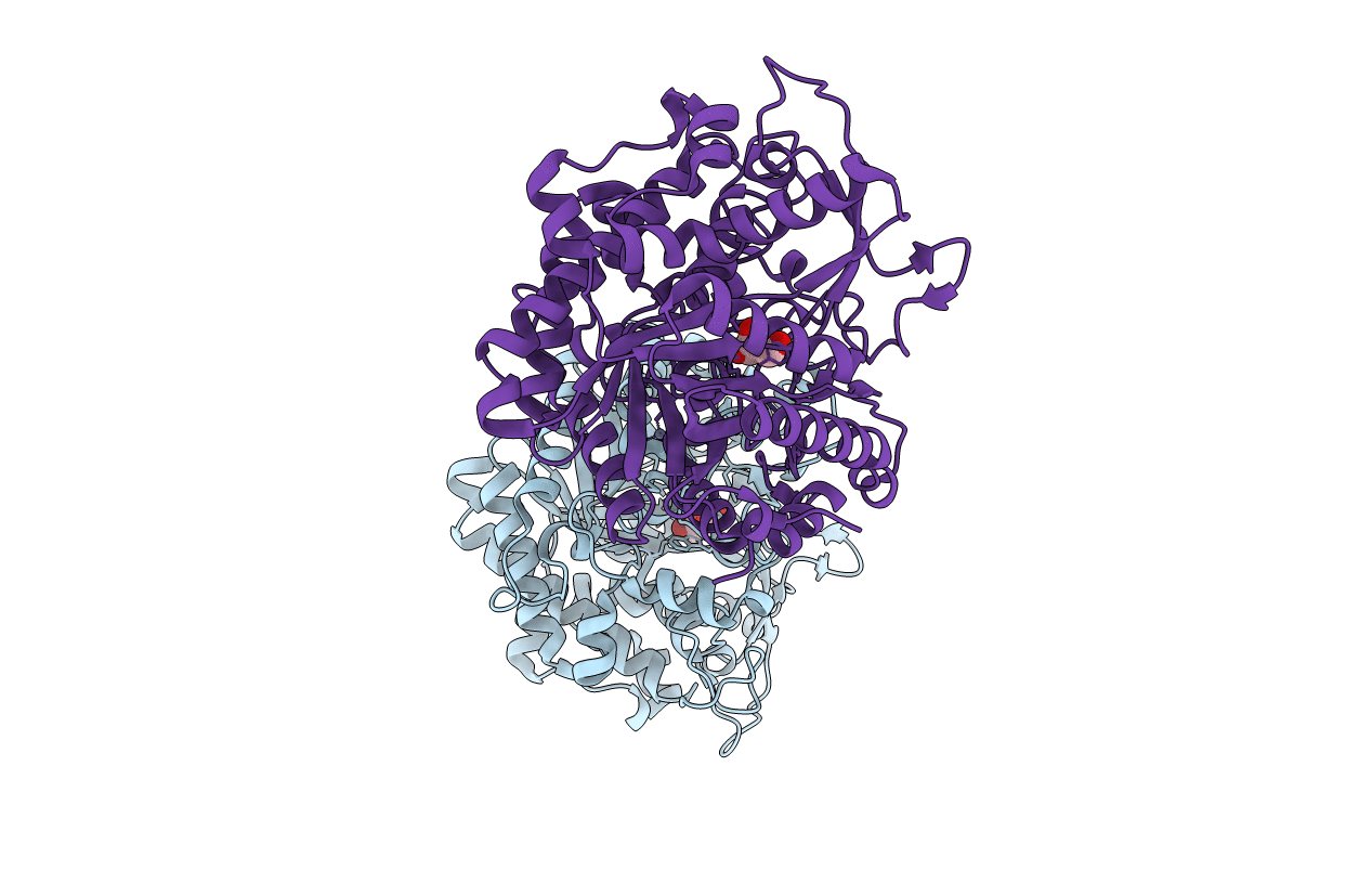 3PTK image