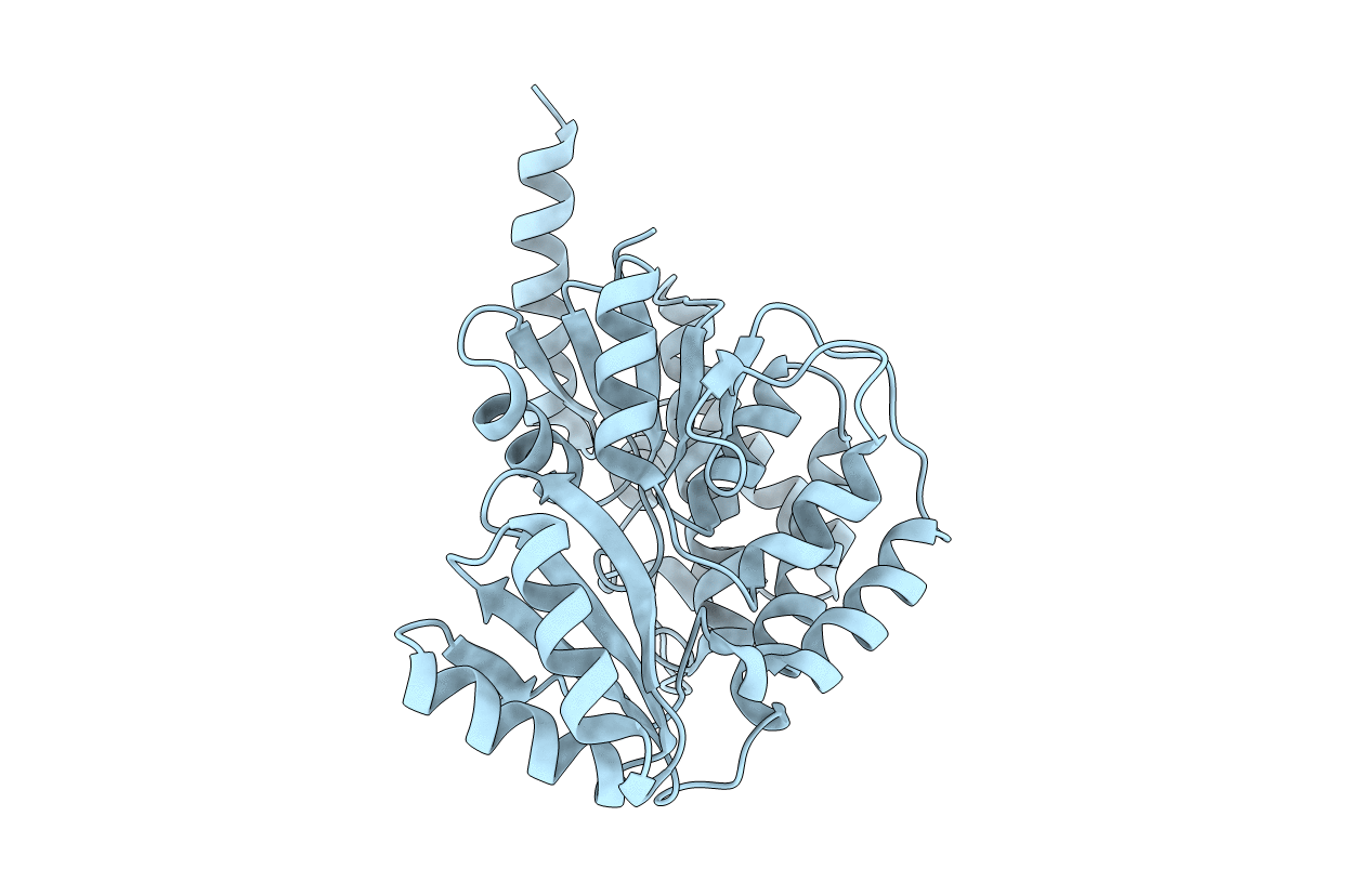 3PTW image