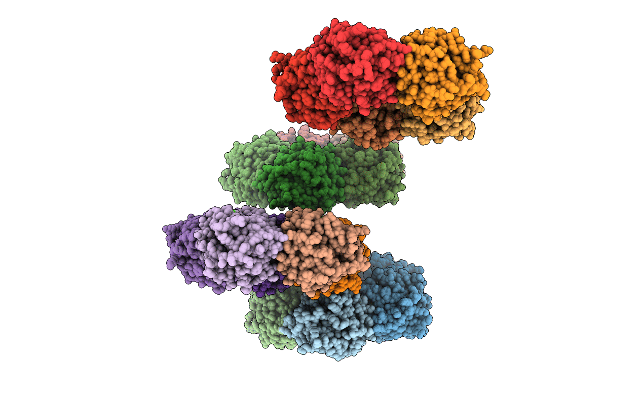 3PVO image