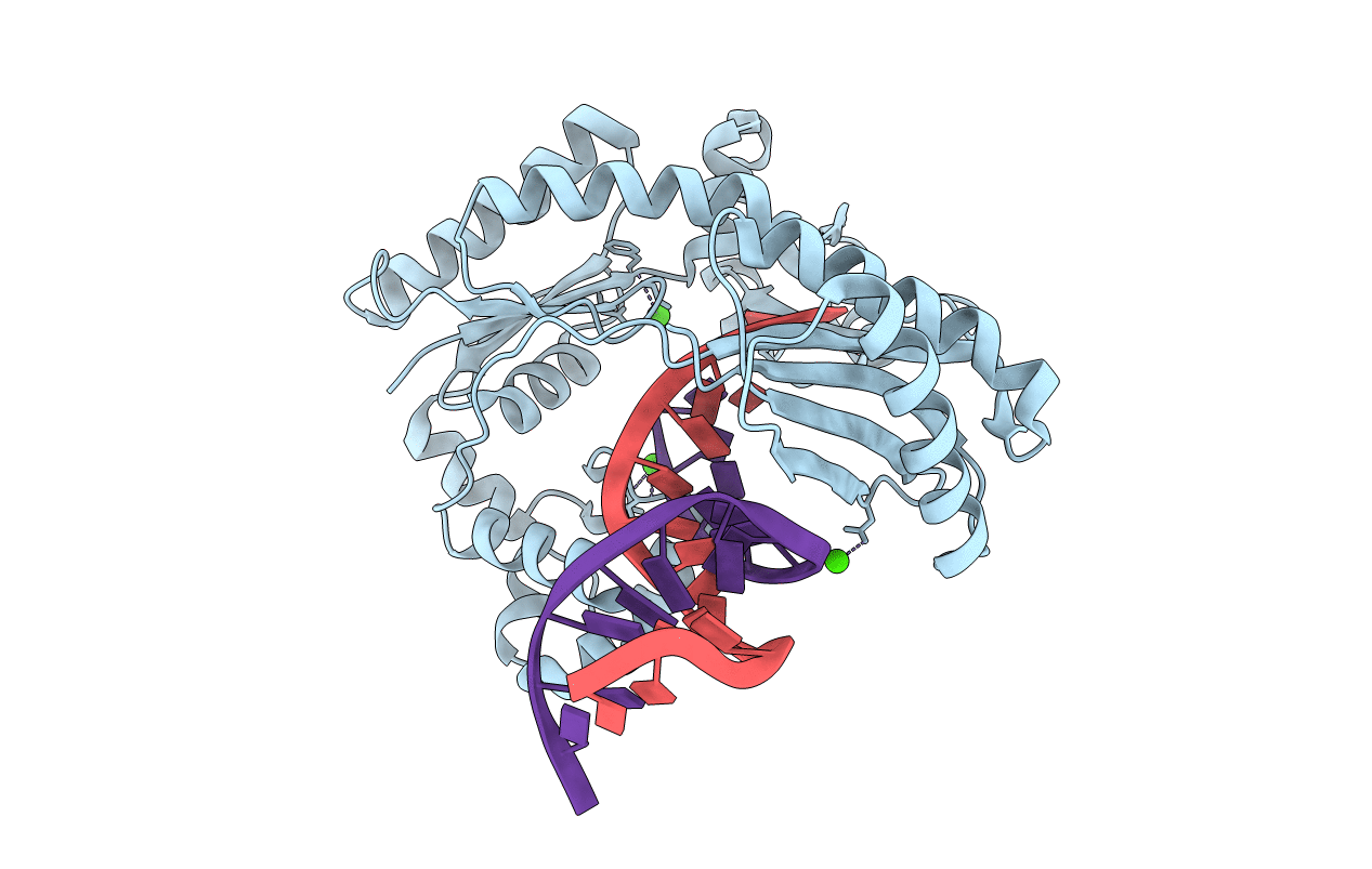 3PVX image
