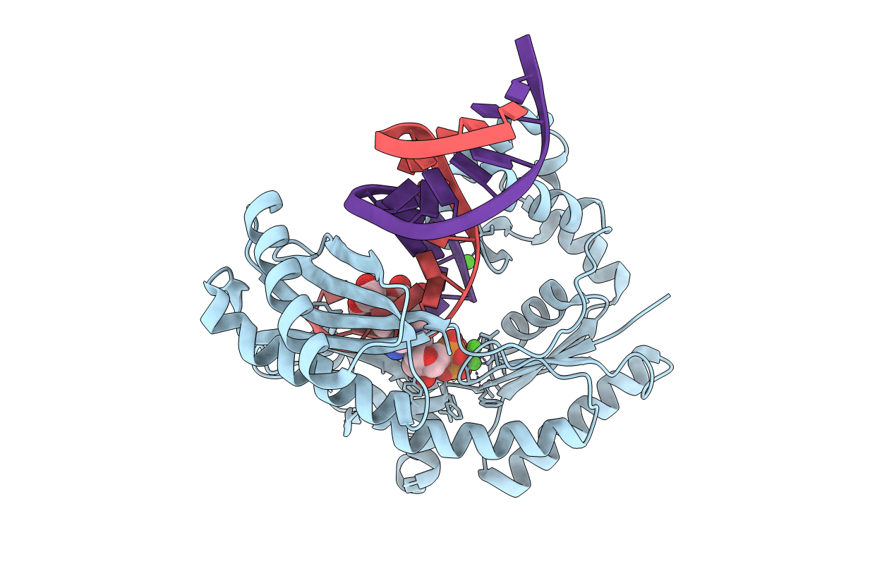 3PW4 image