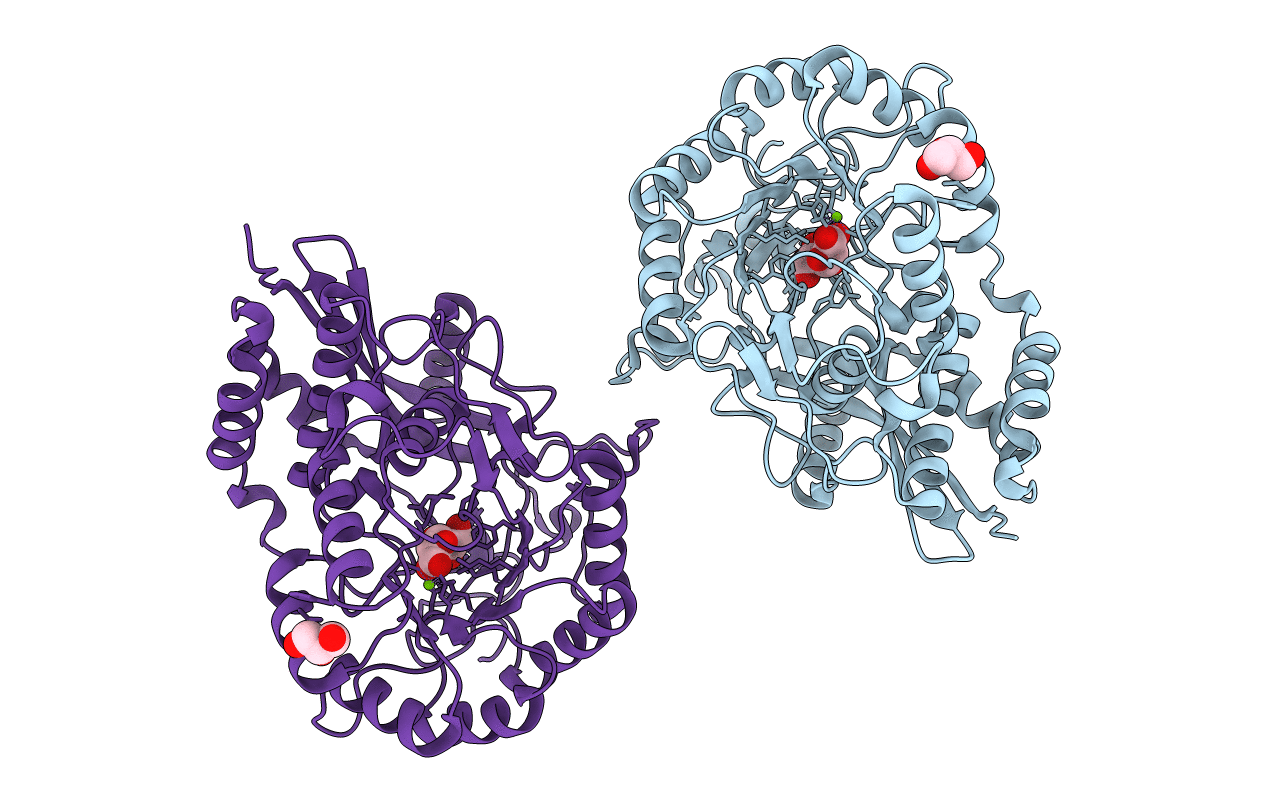 3PWI image