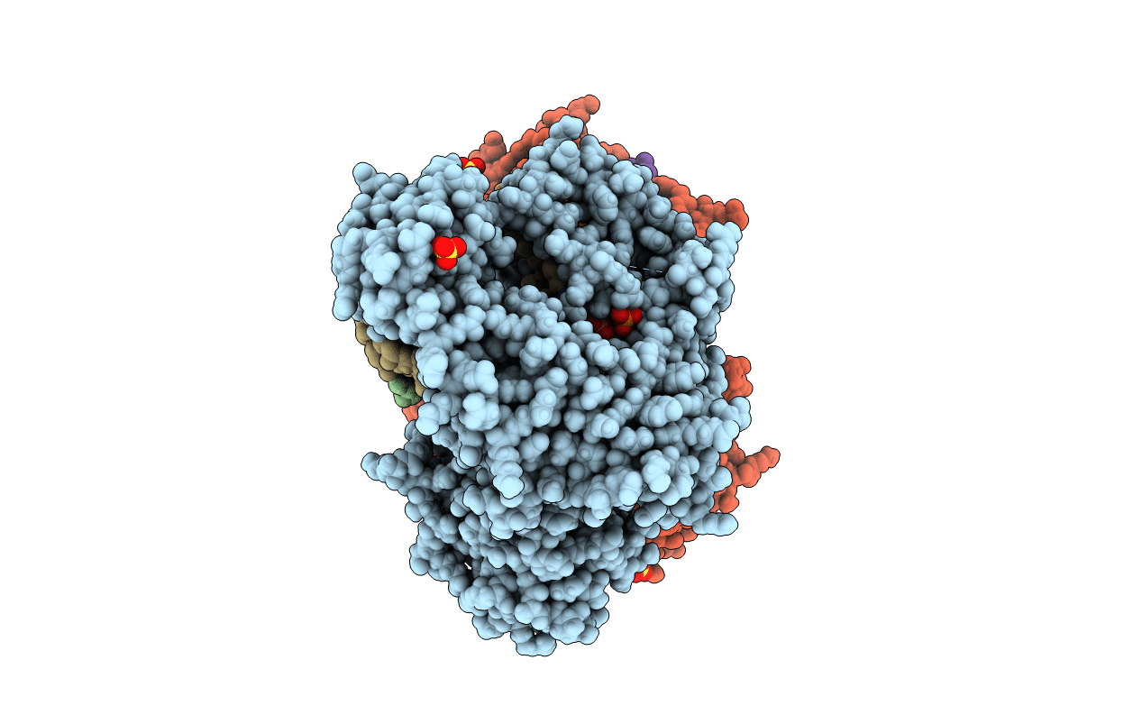 3PX0 image