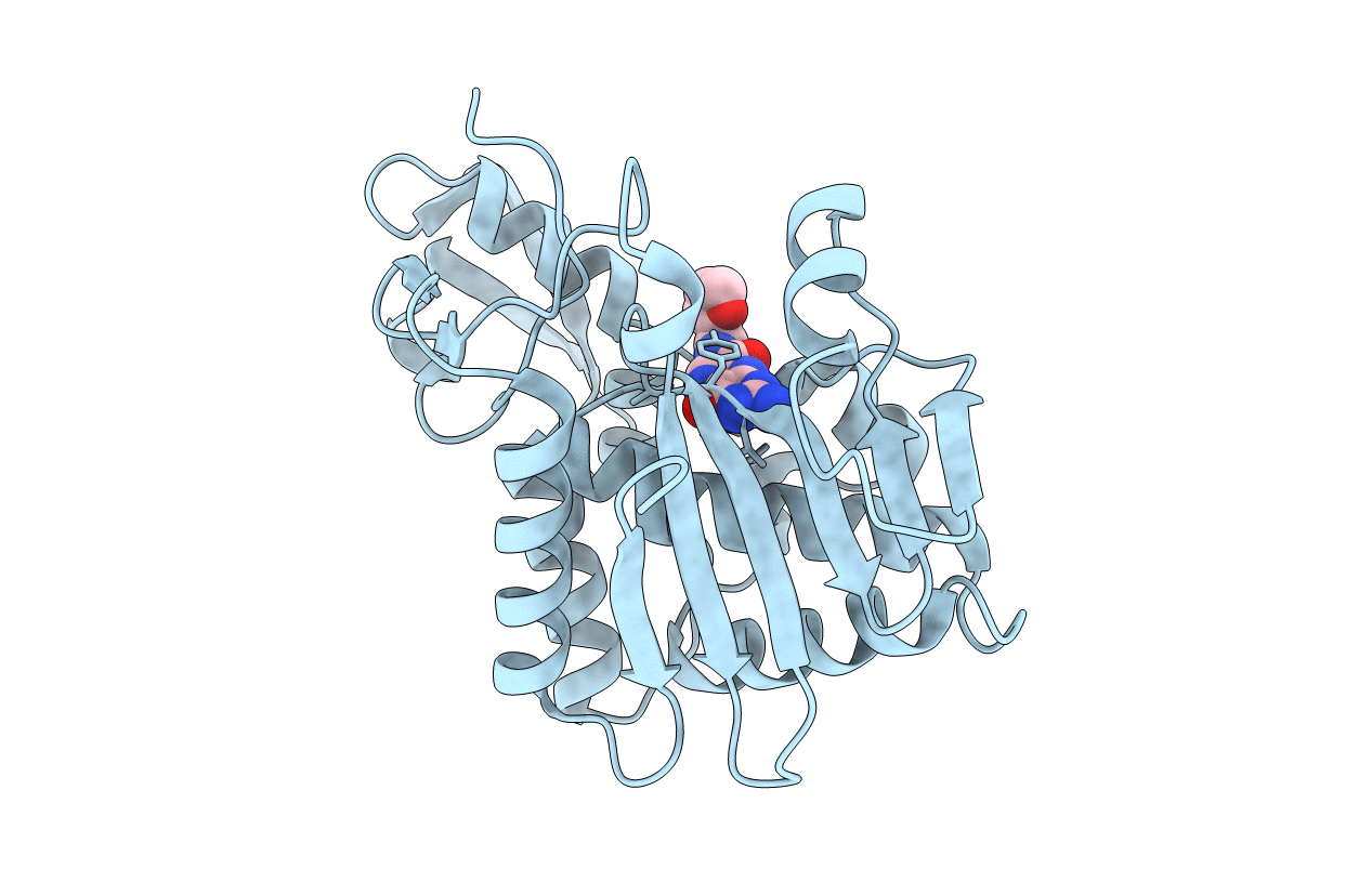 3PX9 image