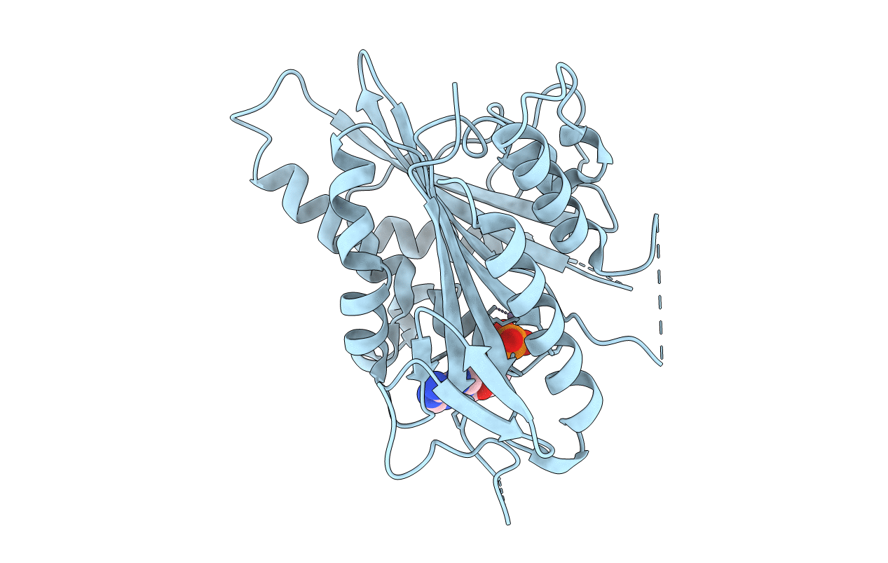 3PXN image