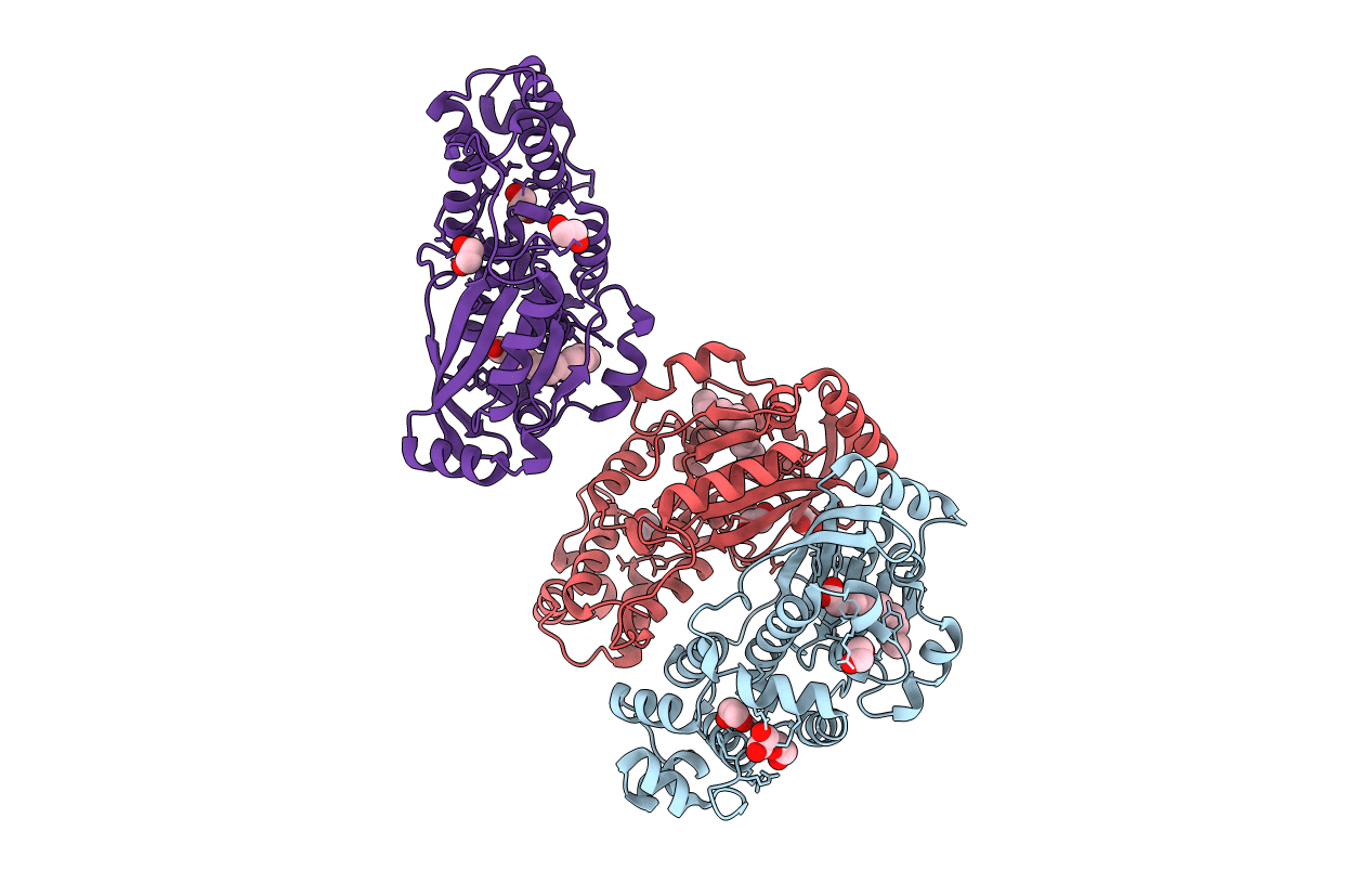3PXP image