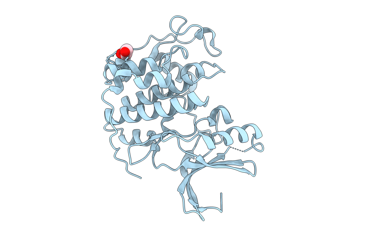 3PXR image