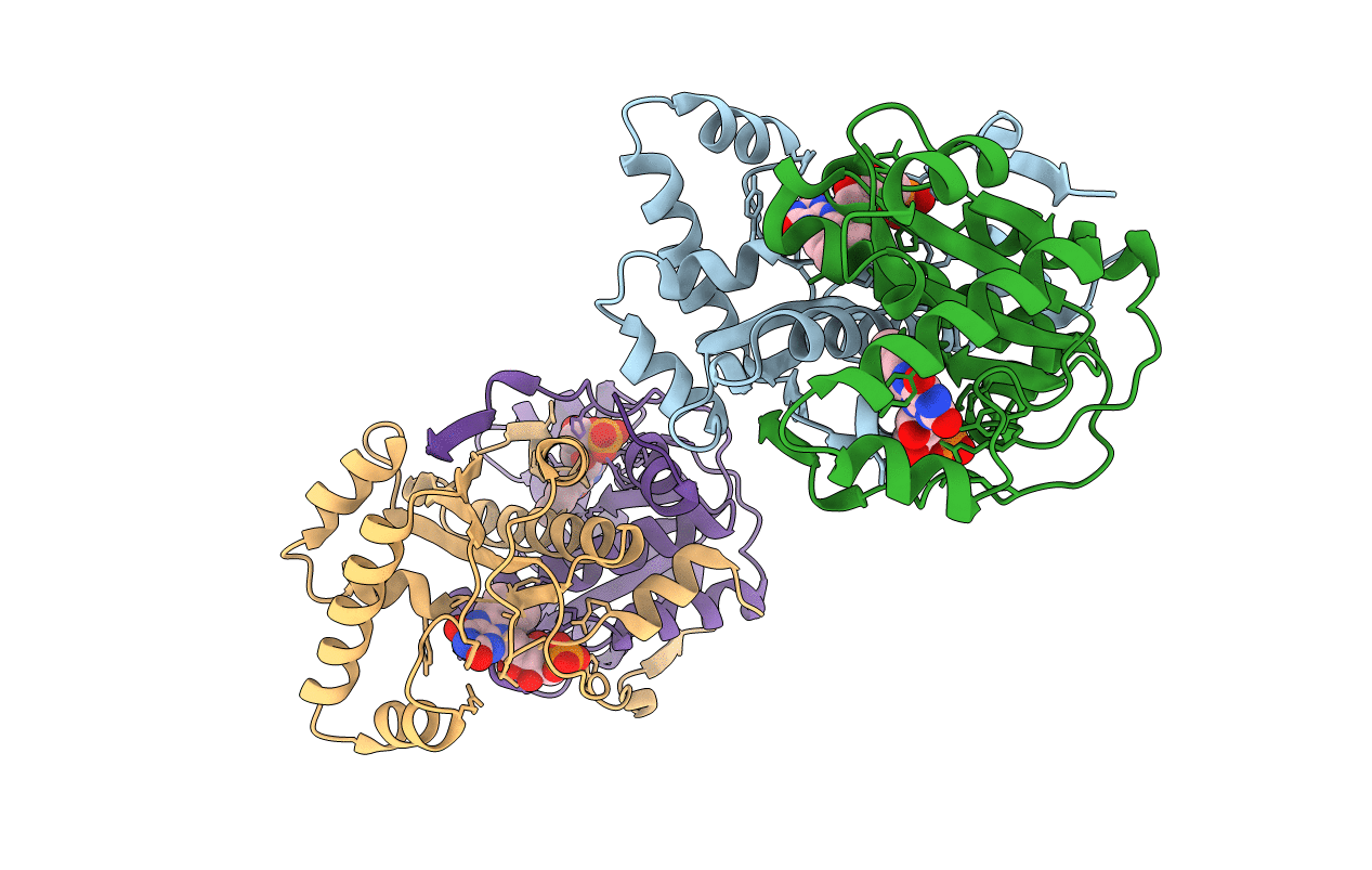 3PXV image