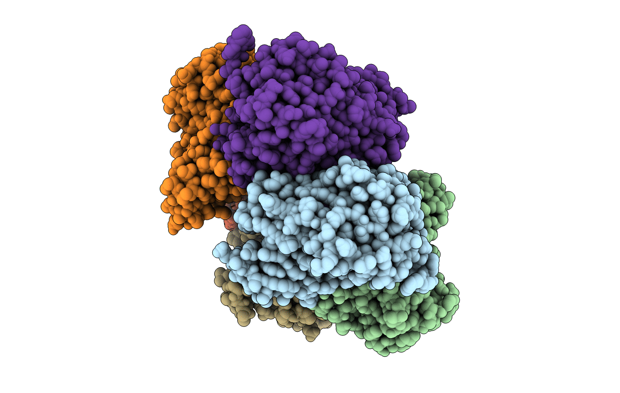 3pxx image