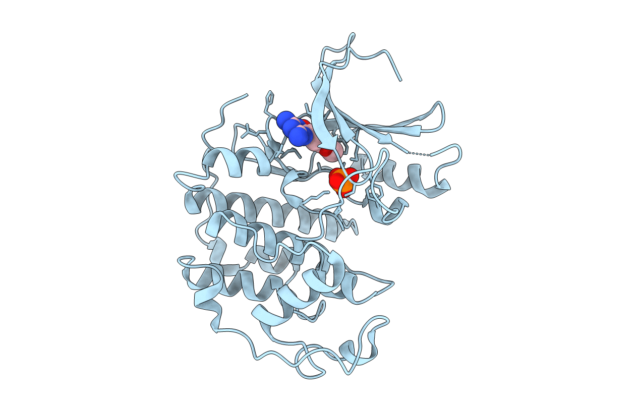 3PXY image