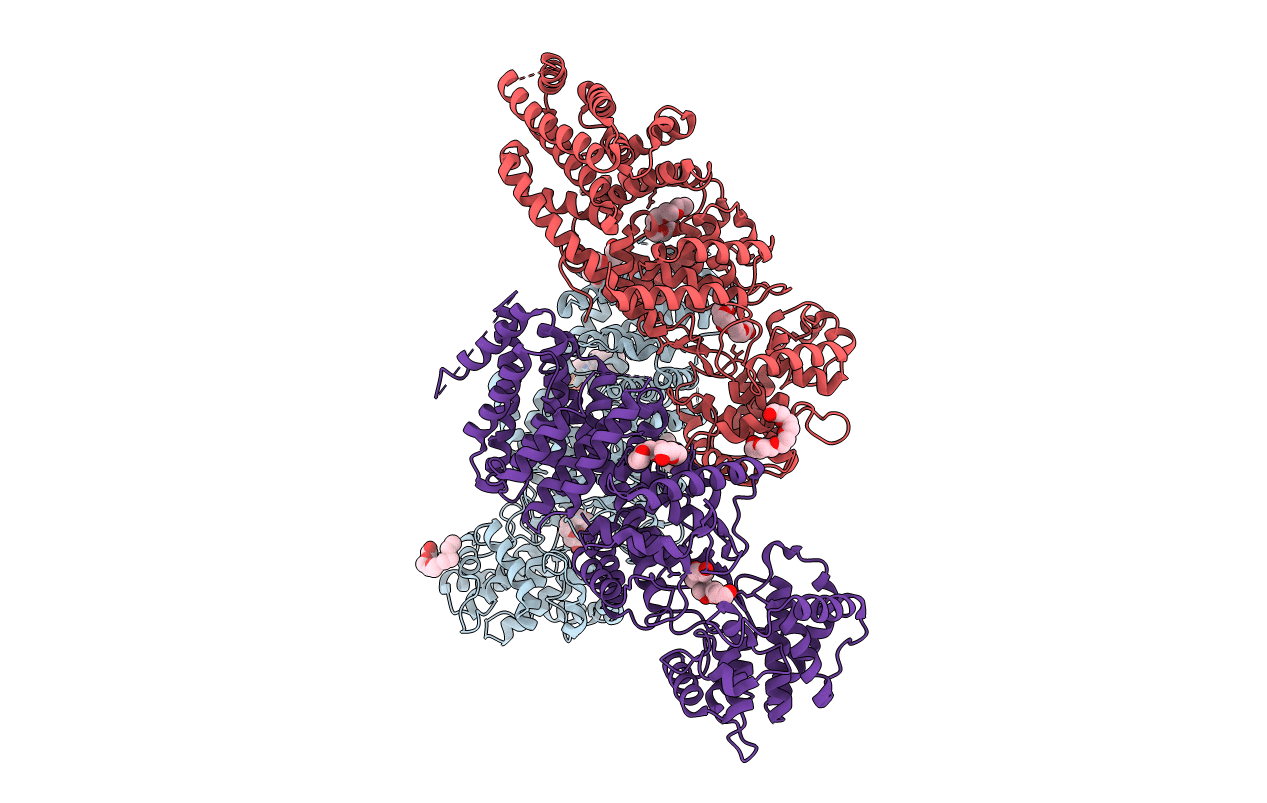3PYB image