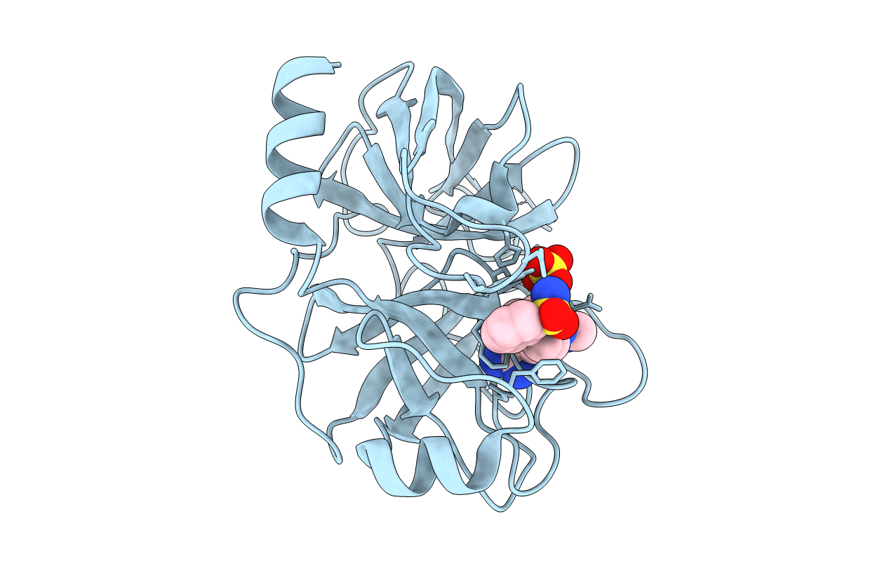 3PYH image