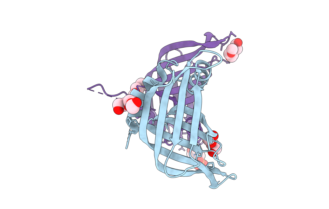 3PYI image