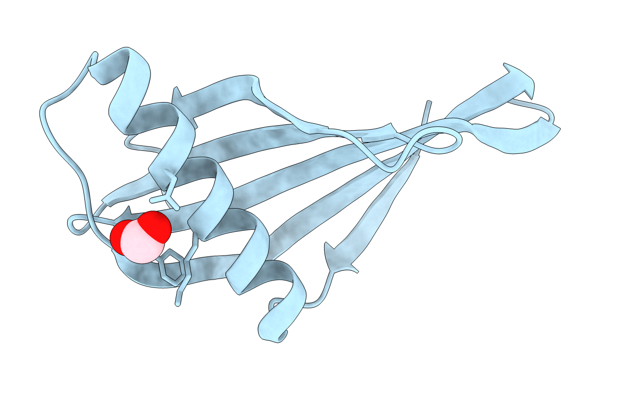 3PYJ image