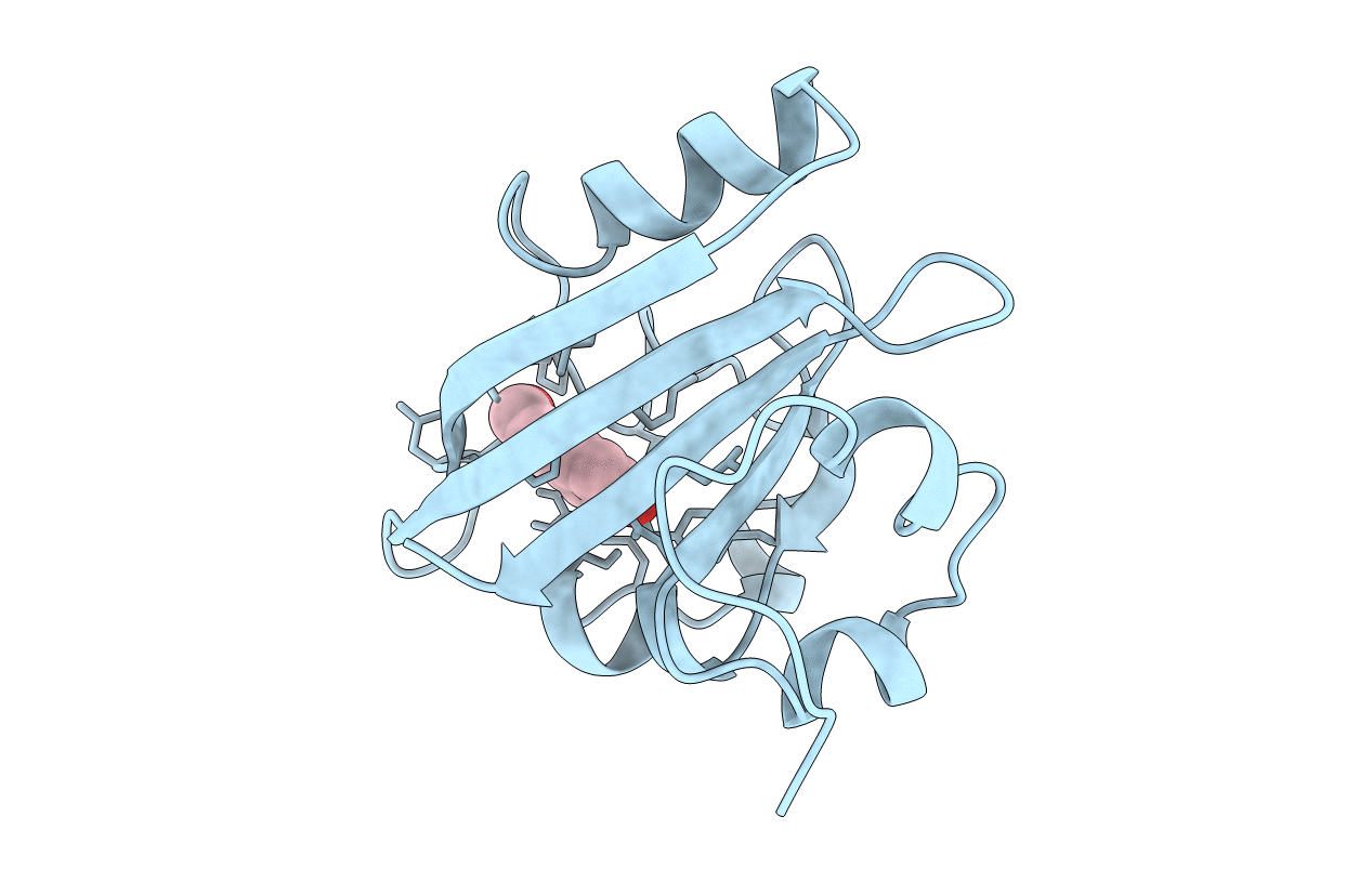 3PYP image