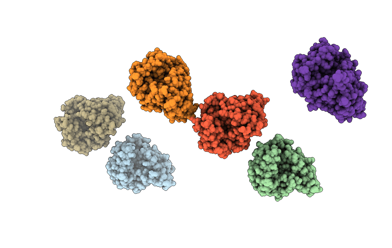 3PZ6 image