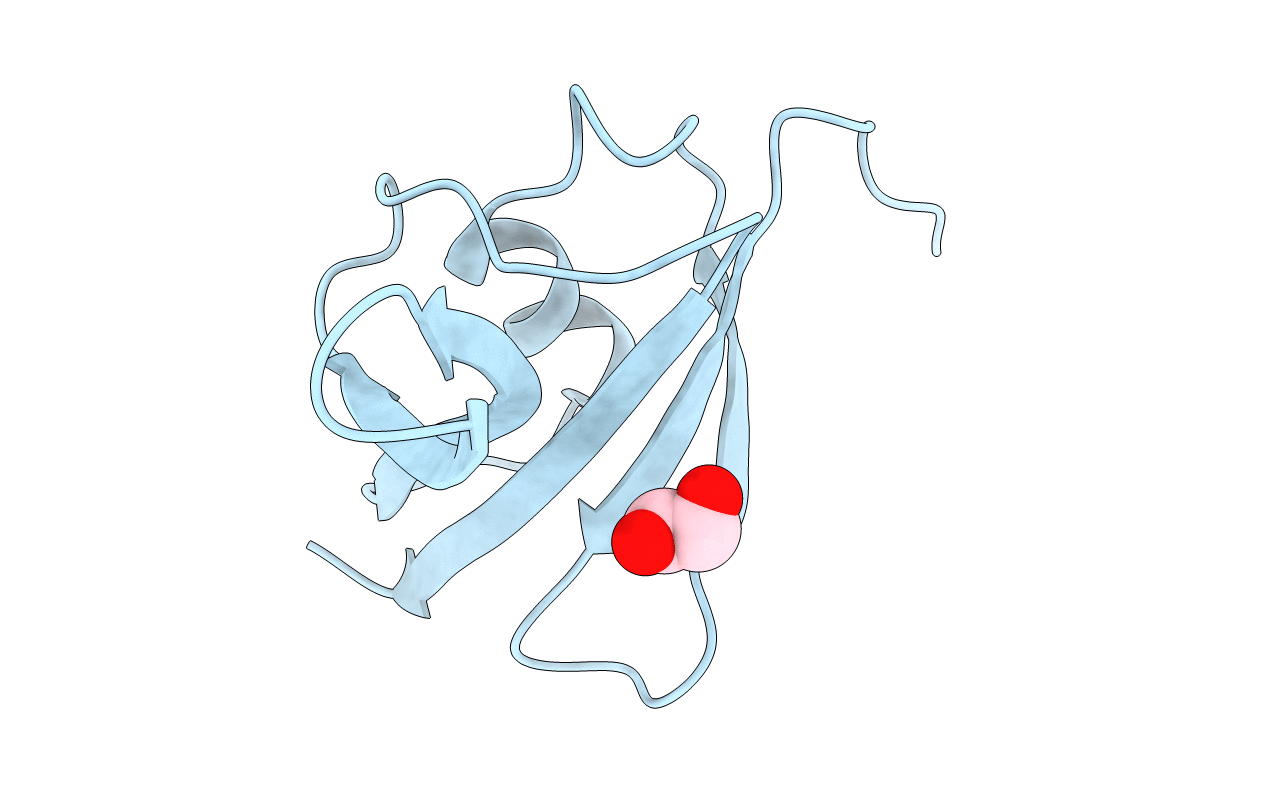 3PZ7 image