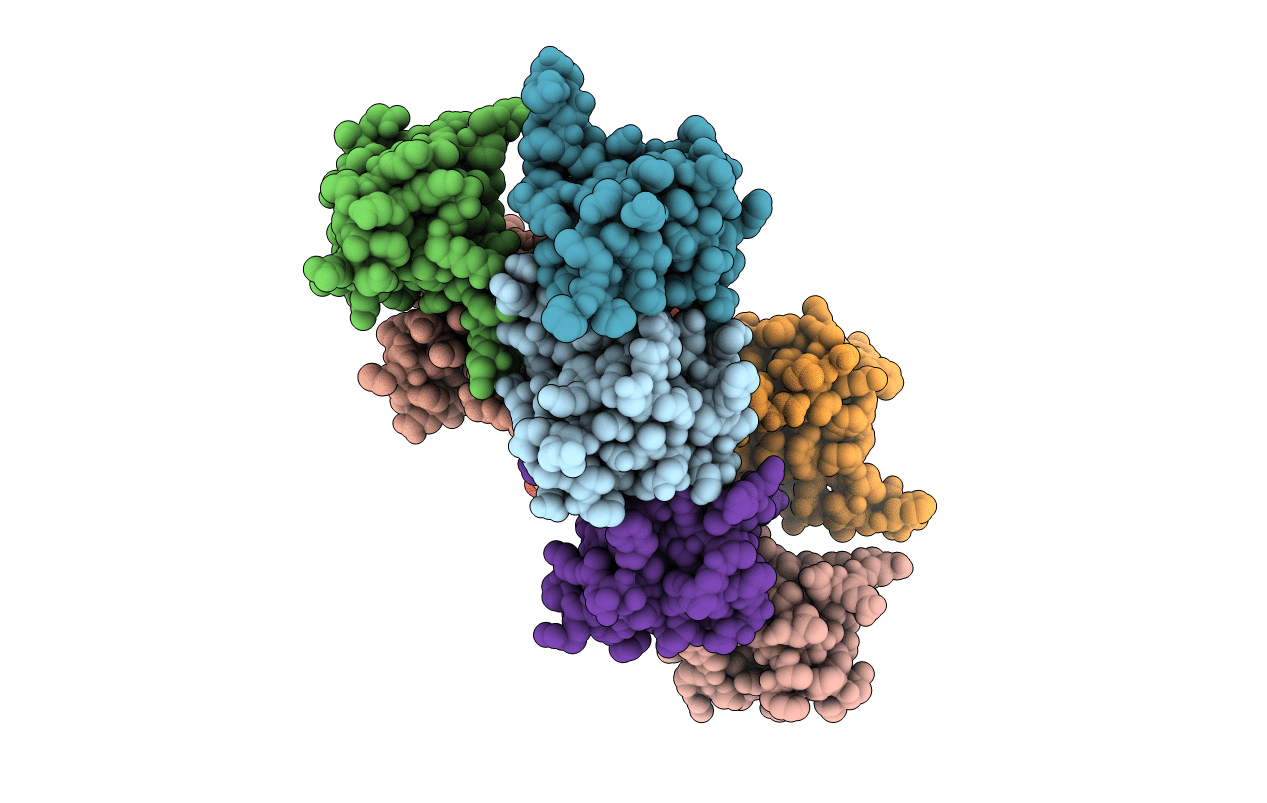 3PZ8 image