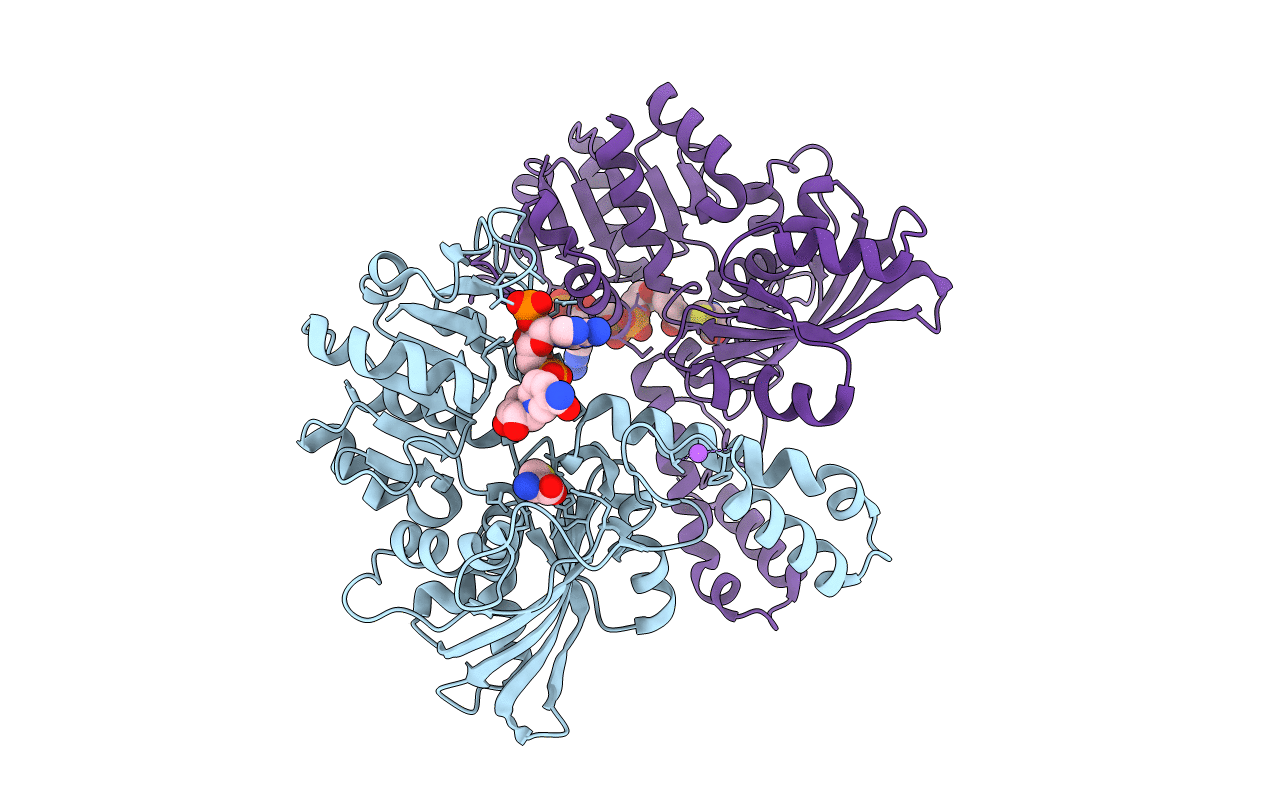 3PZR image