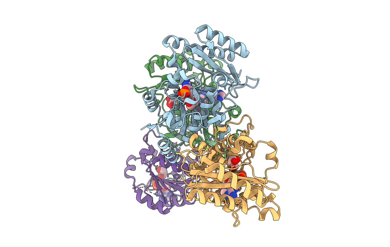 3Q10 image