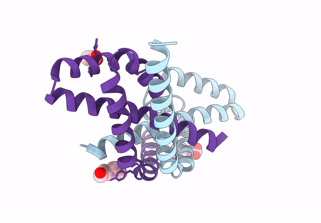 3Q20 image