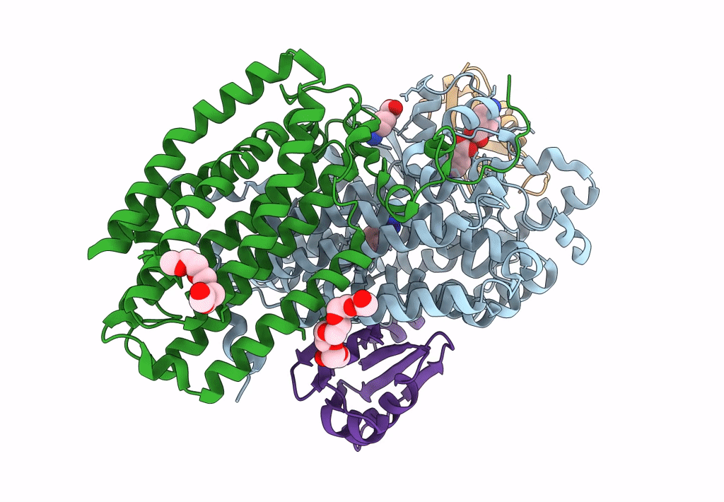 3Q2A image