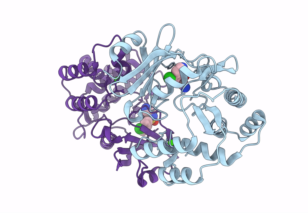 3Q2J image
