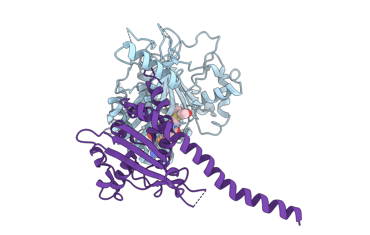 3Q35 image