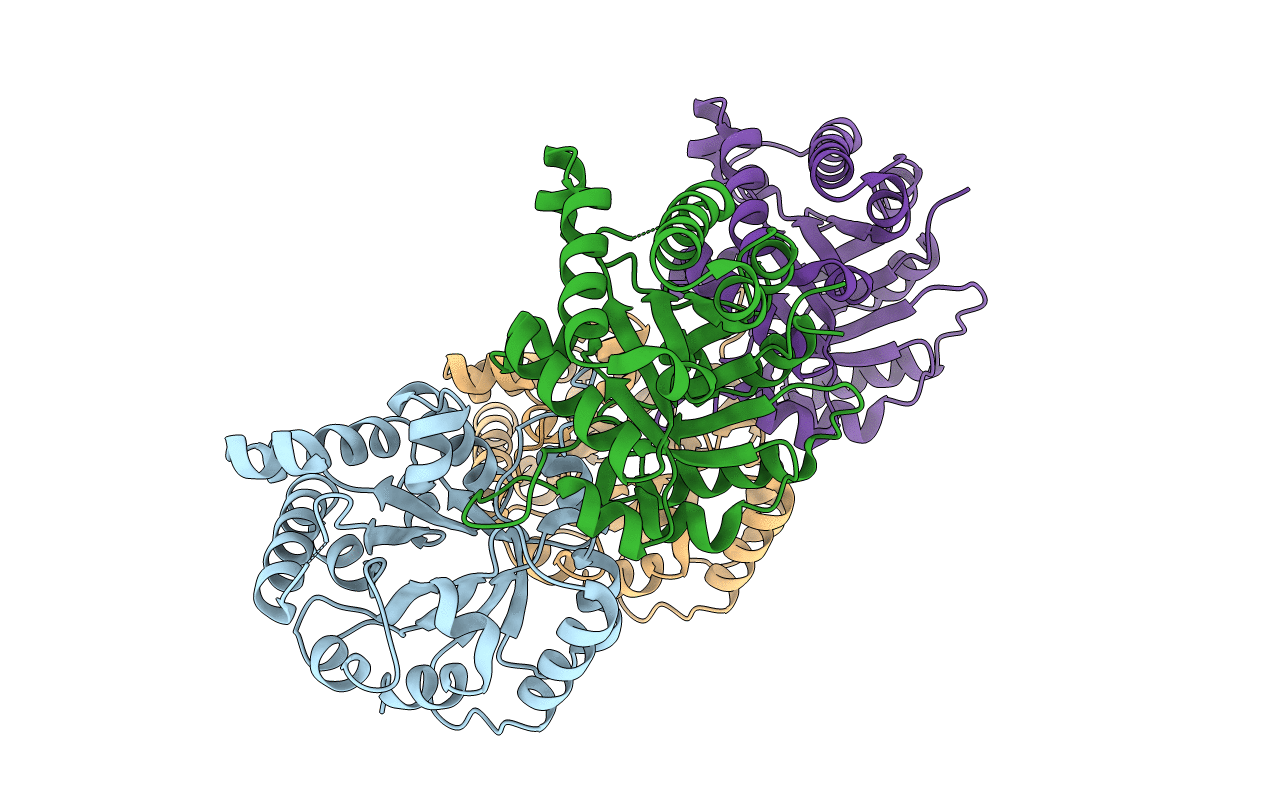3Q37 image