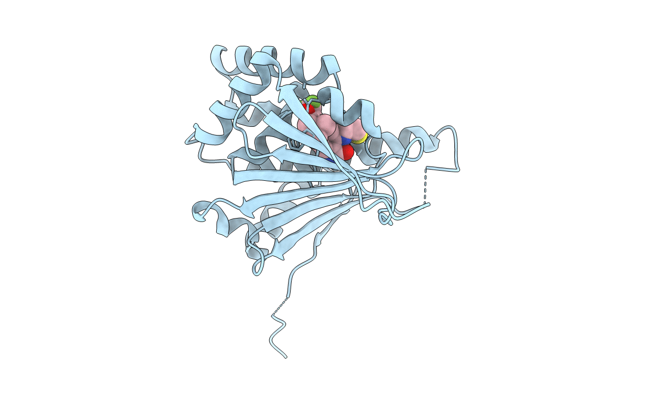 3Q5K image