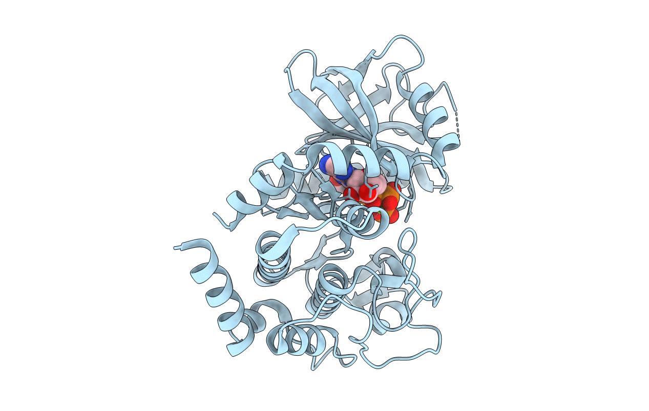 3Q60 image
