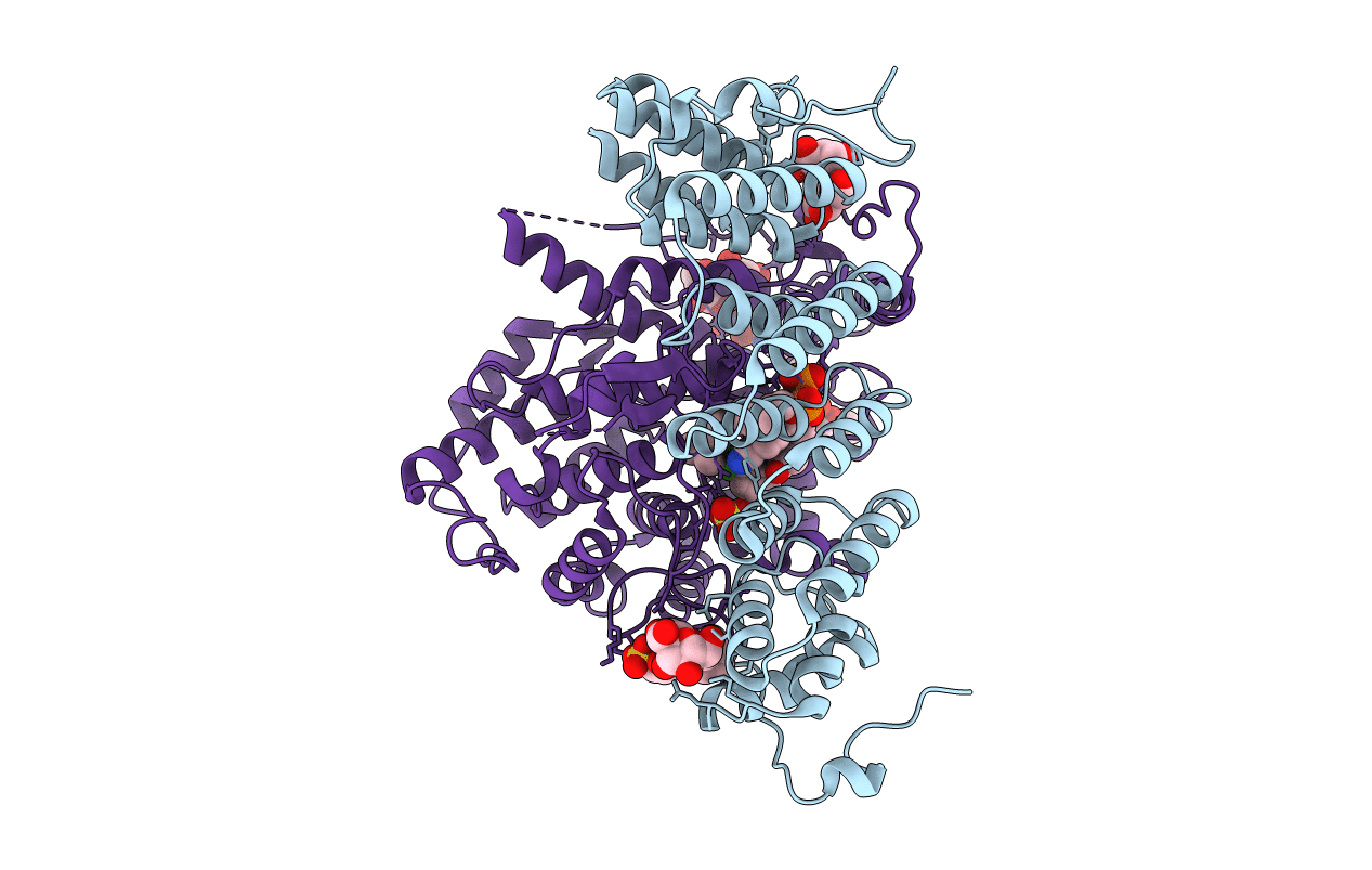 3Q7A image