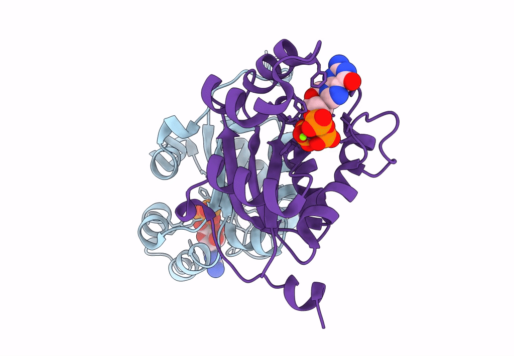 3Q86 image