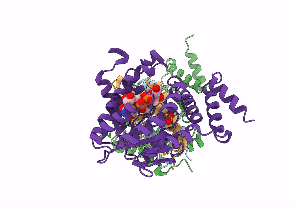 3Q8X image