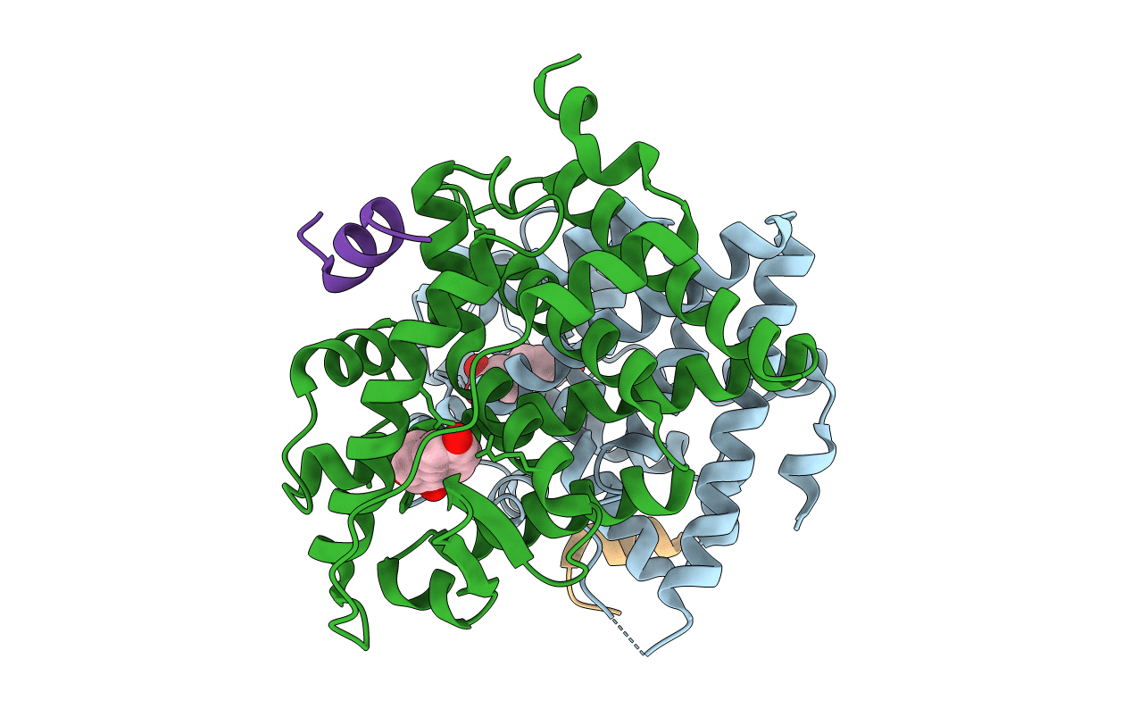 3Q95 image