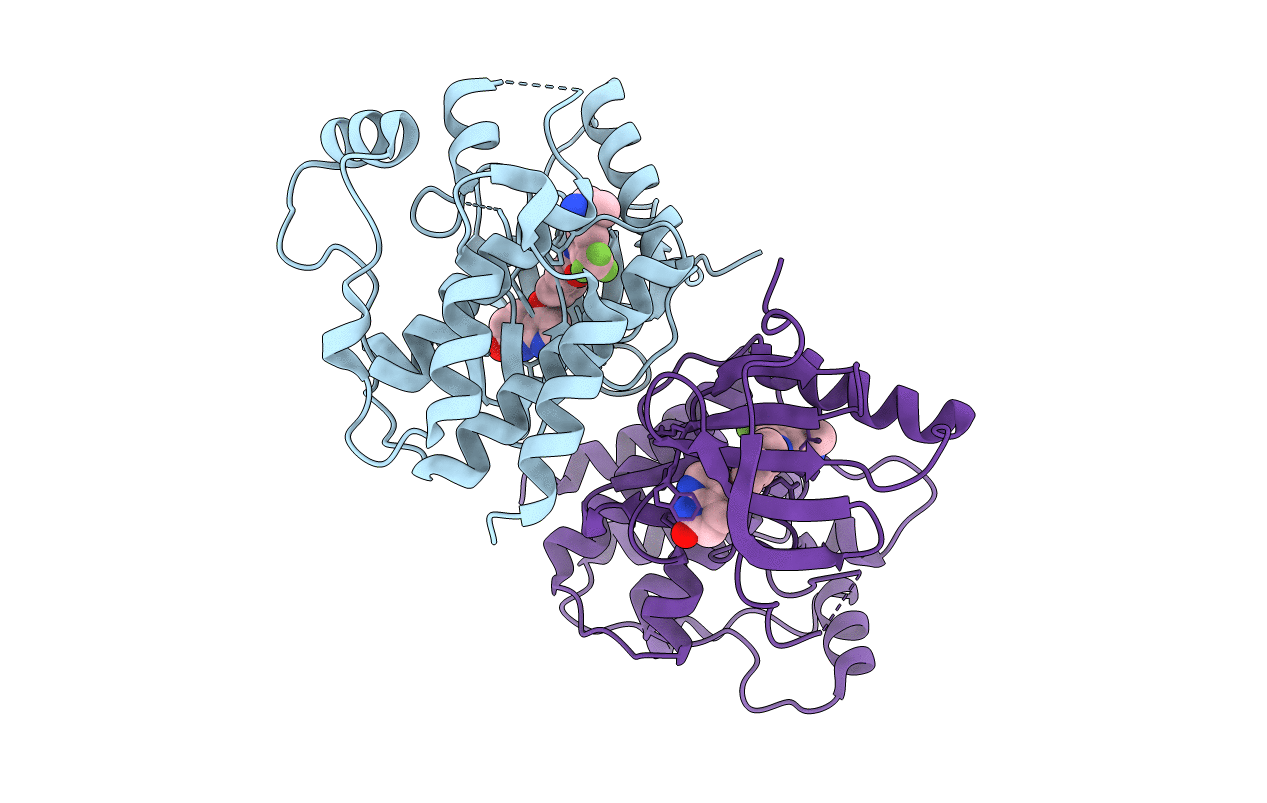 3Q96 image