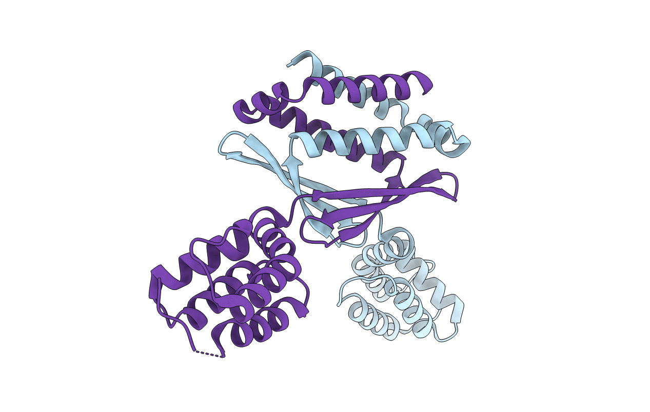 3Q9D image