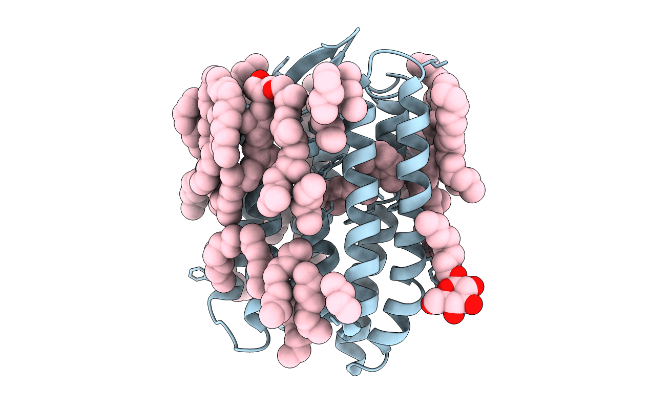 3QAP image