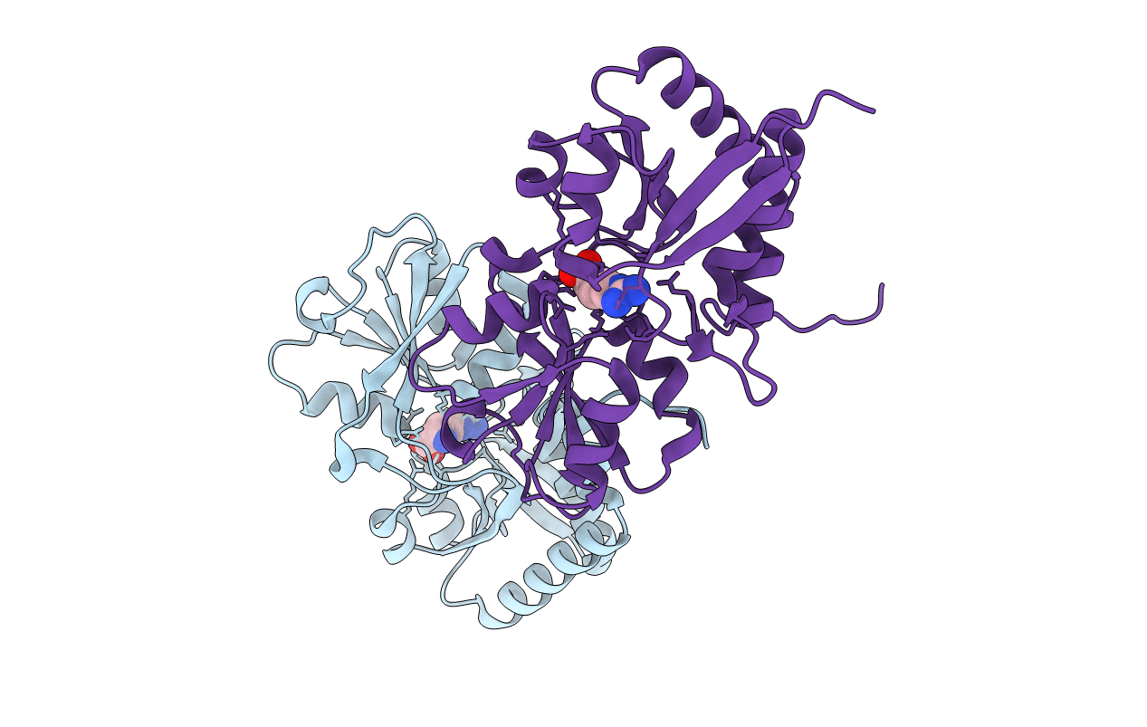 3QAX image