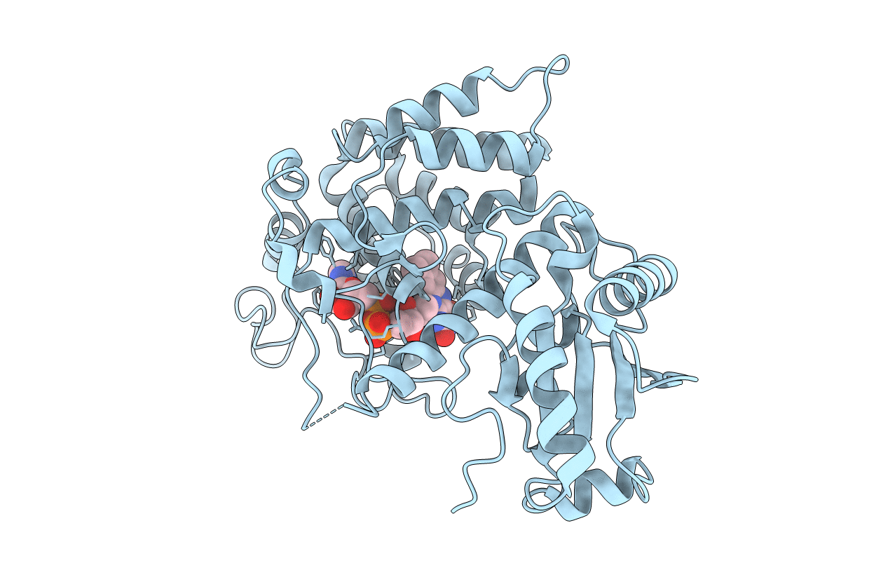 3QCP image
