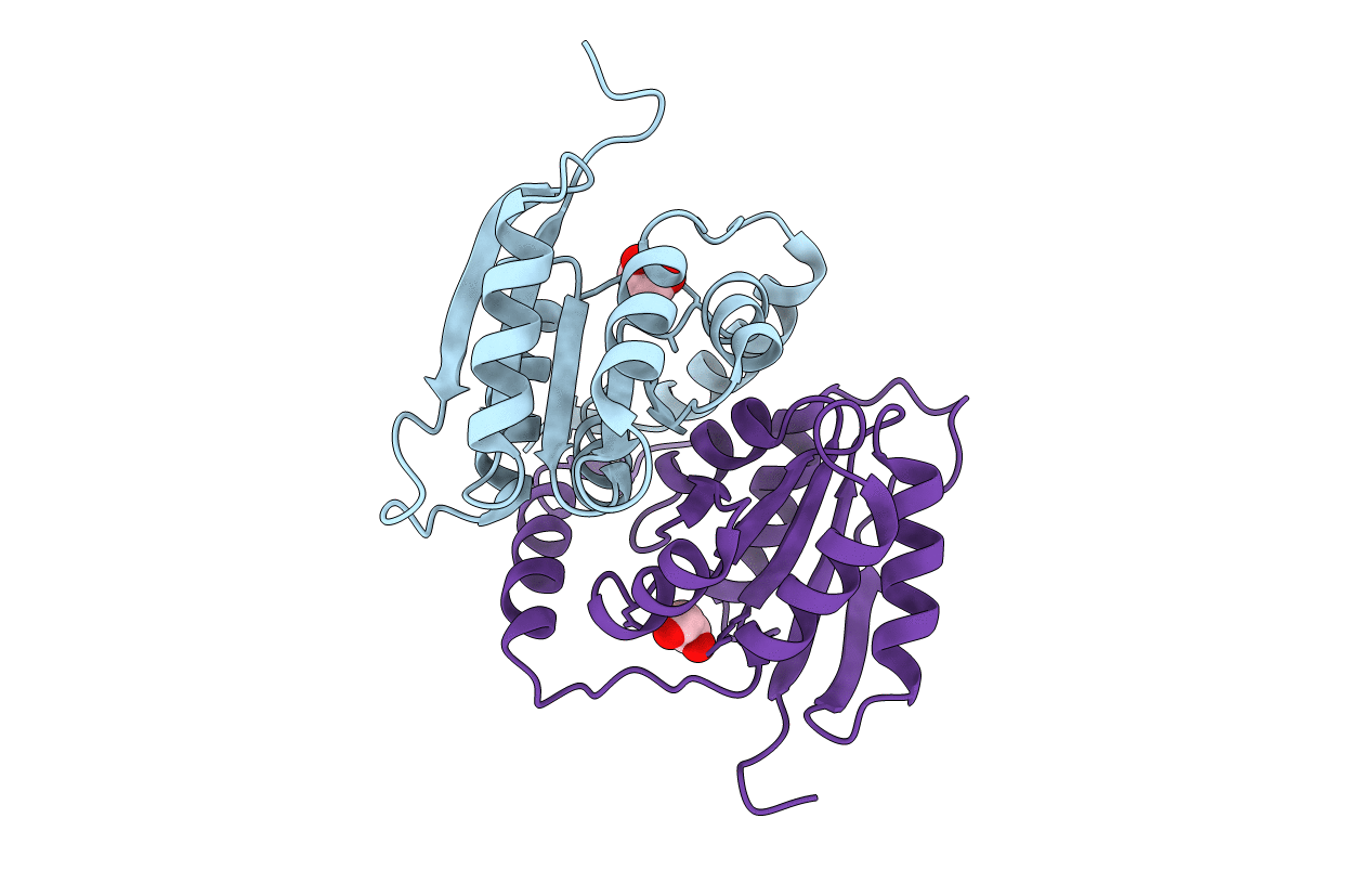 3QD5 image