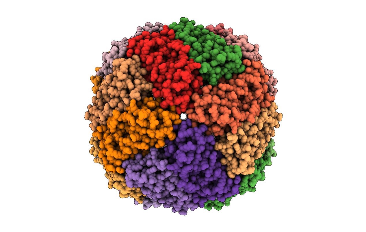 3QD8 image