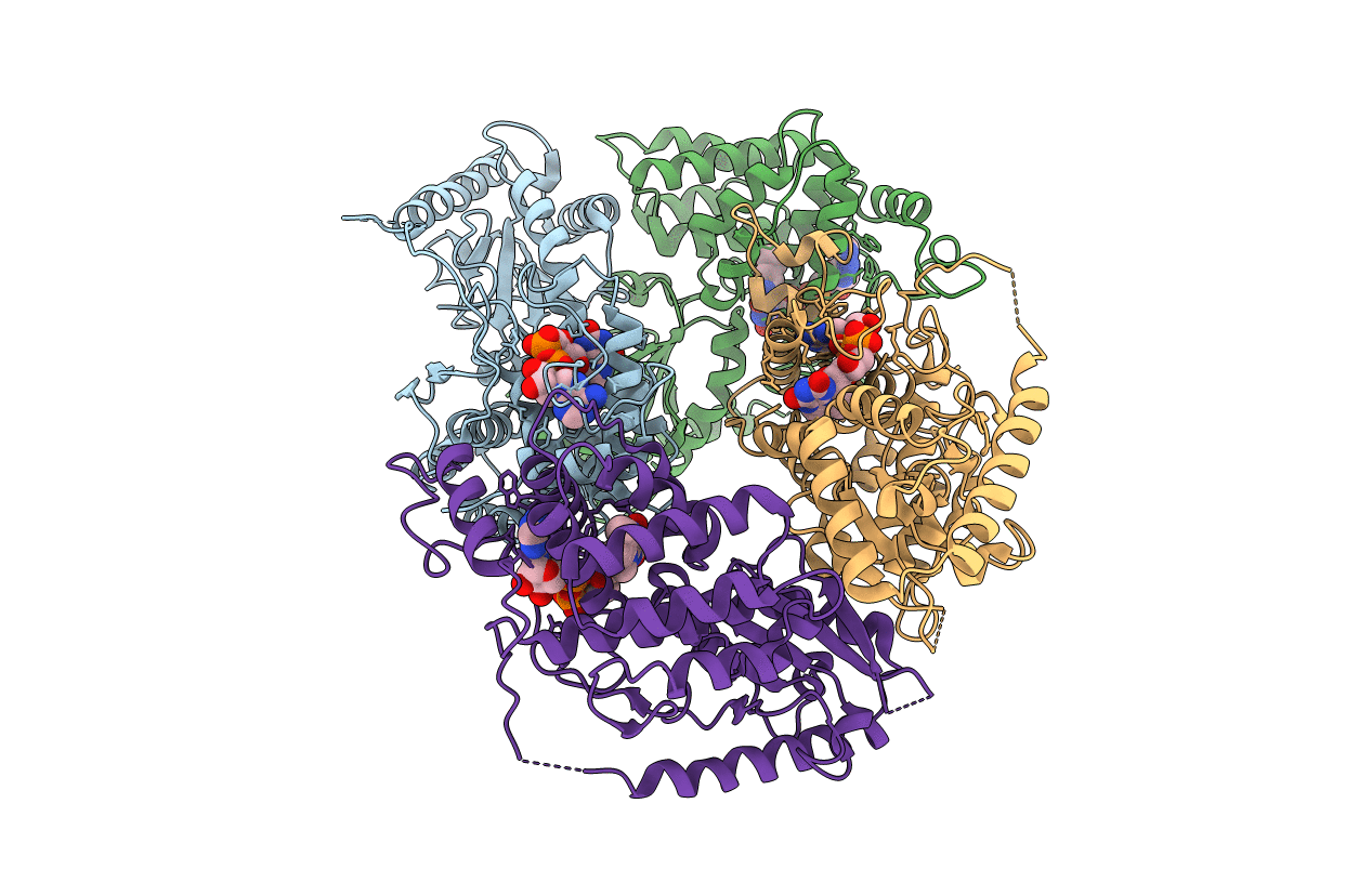 3QD9 image
