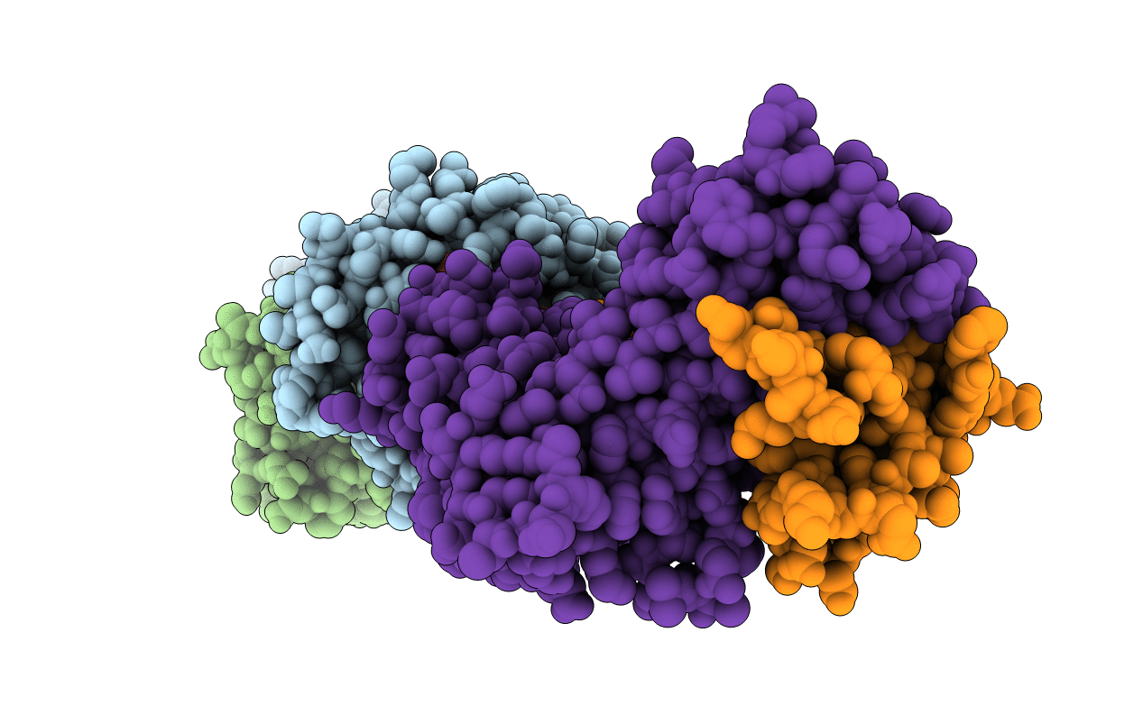 3QDM image