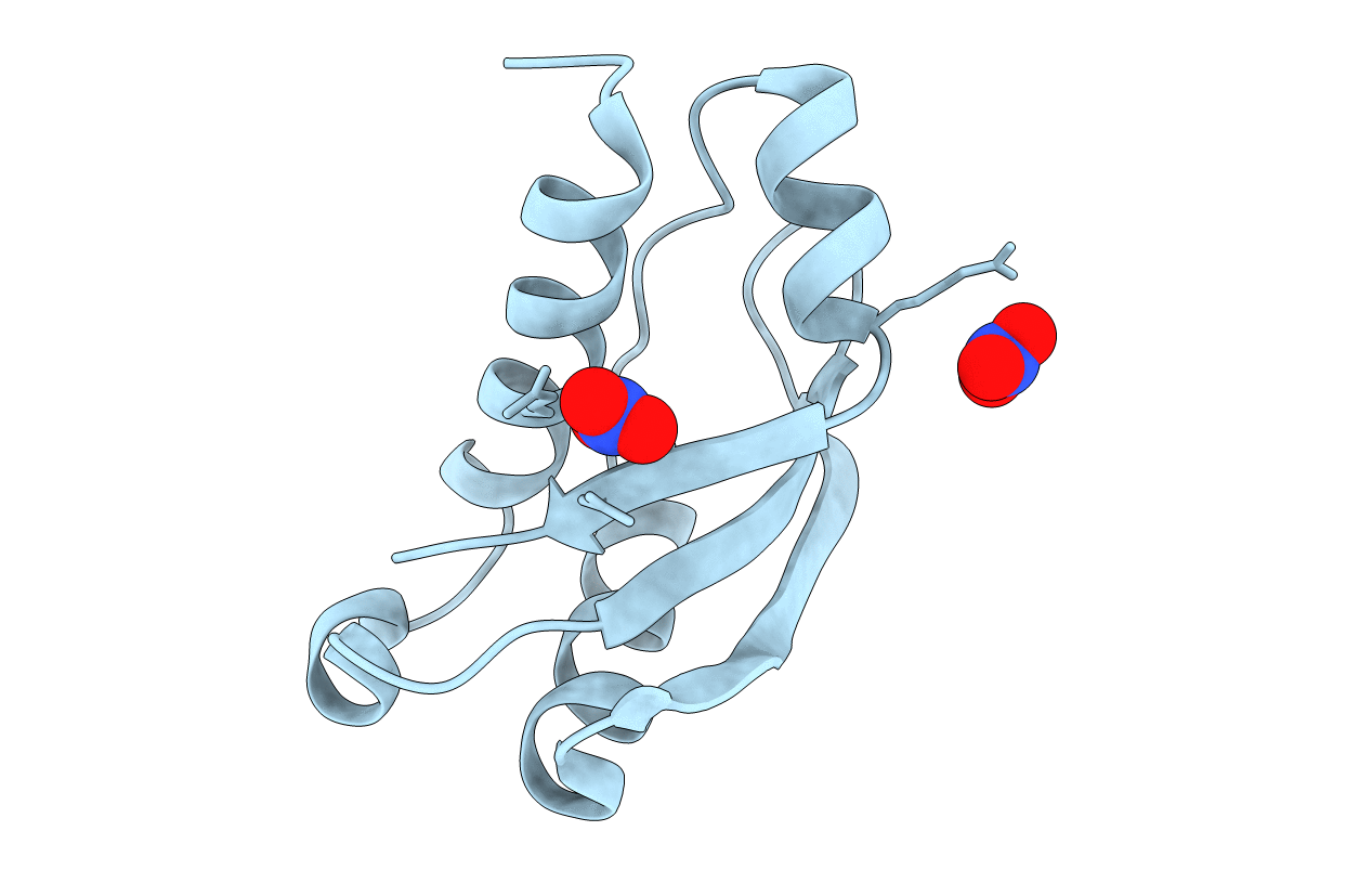 3QDP image