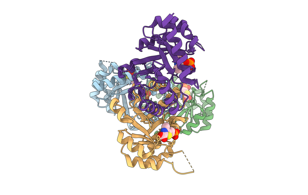 3QH2 image