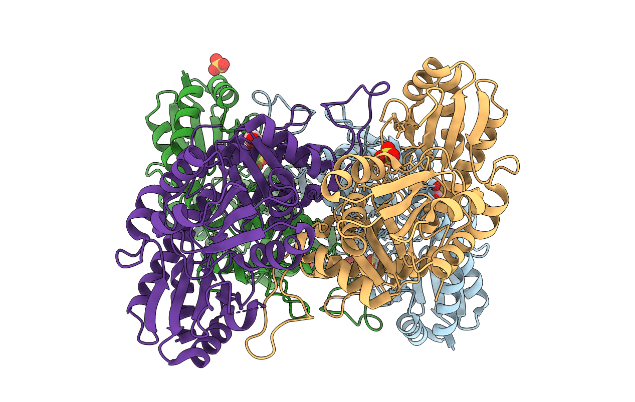 3QI6 image